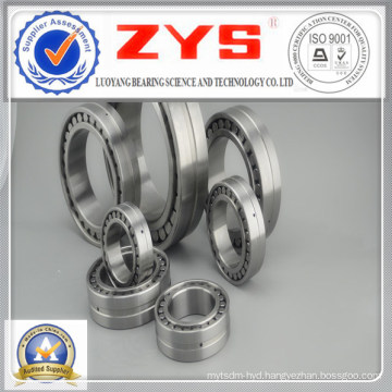 Cylindrical Roller Bearings Nn3036k